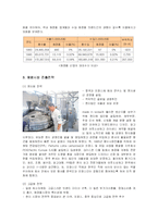 [경영전략] 아모레퍼시픽(AMOREPACIFIC) 해외시장진출전략과 성공사례-5