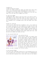 [경영전략] 아모레퍼시픽(AMOREPACIFIC) 해외시장진출전략과 성공사례-12