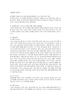 [경영전략] 아모레퍼시픽(AMOREPACIFIC) 해외시장진출전략과 성공사례-16