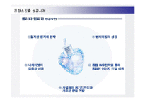 [경영전략] 아모레퍼시픽(AMOREPACIFIC) 해외시장진출전략과 성공사례-17