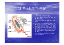 [미생물학] 진핵 세포와 원핵 세포의 차이-2