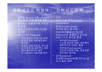 [미생물학] 진핵 세포와 원핵 세포의 차이-4