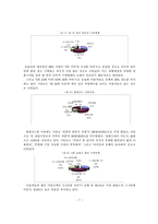[자치행정] 지역 소도시내 대형할인점 진출에 따른 공존전략 연구-7