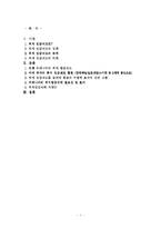 [정부규제론] [정부규제론]최저임금제도-1