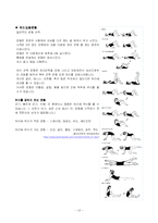 [사회체육] 요통의 원인과 운동처방-13