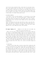 [마케팅] 베스킨라빈스&하겐다즈-4