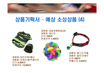 [경영학] [사업계획서]애견 쇼핑몰의 창업준비를 위한 사업계획서-16