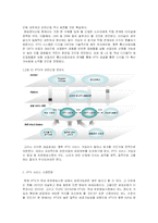[e비즈니스] [e비즈니스]IPTV산업의 개요와 IPTV서비스 시장전망(A+리포트)-8