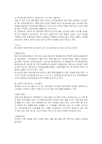 [경영전략] 오리온 초코파이의 중국시장 진출전략 성공사례-16