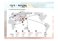 [경영전략] 오리온 초코파이의 중국시장진출 성공사례-11