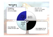 [경영전략] 오리온 초코파이의 중국시장진출 성공사례-12