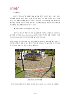 [마케팅] 아이리버 소비자행동 분석-16