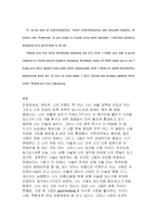 [영문학과] 성형에 대한 생각 영어 작문-4