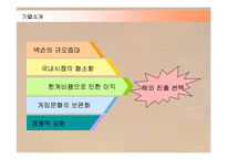 [경영전략] 넥슨 카트라이더의 중국시장 진출전략 성공사례-4