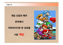 [경영전략] 넥슨 카트라이더의 중국시장 진출전략 성공사례-5