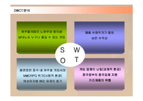 [경영전략] 넥슨 카트라이더의 중국시장 진출전략 성공사례-13
