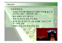[경영전략] 하이네켄 맥주의 전략과 성공요인-11