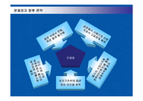 [경영전략] 펩시콜라의 인도시장 진출전략과 시사점-20