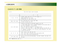 [경영전략] 삼성전자 애니콜의 러시아진출 성공사례-7