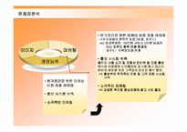[경영전략] 제주항공의 성공요인과 향후전략-16