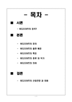 [멀티미디어와예술] 비디오아트(VIDEO-ART)-2