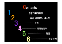 [마케팅 전략] 삼성 에버랜드 마케팅전략 분석-2