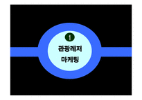 [마케팅 전략] 삼성 에버랜드 마케팅전략 분석-3