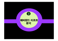 [마케팅 전략] 삼성 에버랜드 마케팅전략 분석-14