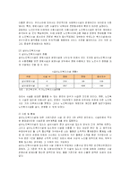 [사회복지] 고령화 사회의 도래와 노인복지문제 개선방안-12