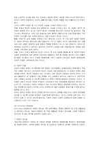 [사회복지] 장애인의 성문제 프로그램과 대안-3