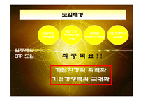 [경영정보] 일동제약의 ERP SYSTEM구축 성공사례-5
