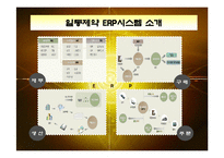[경영정보] 일동제약의 ERP SYSTEM구축 성공사례-6