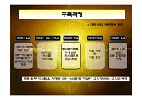 [경영정보] 일동제약의 ERP SYSTEM구축 성공사례-8