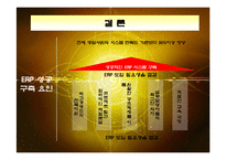 [경영정보] 일동제약의 ERP SYSTEM구축 성공사례-15