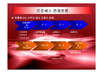[경영정보] 이랜드의 ERP SYSTEM구축 성공사례-9