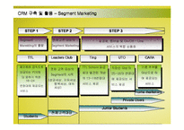[경영정보] SK텔레콤의 CRM(고객관계관리)구축 성공사례-8