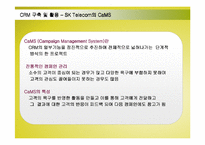 [경영정보] SK텔레콤의 CRM(고객관계관리)구축 성공사례-13