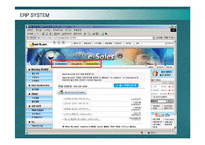 [경영정보] 포스코의 ERP SYSTEM구축 성공사례-19