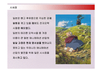 [문화산업] 일본애니메이션 산업의 해외진출 현황과 성공사례-18
