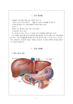 [간 보호, 간 노화, 간 기능, 간 구조, 간 검사] 간-1