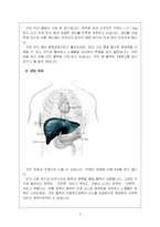 [간 보호, 간 노화, 간 기능, 간 구조, 간 검사] 간-2