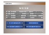[마케팅] LG전자의 브라질 진출 마케팅전략 성공사례-8