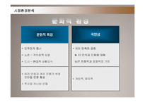 [마케팅] LG전자의 브라질 진출 마케팅전략 성공사례-9
