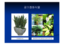 새집증후군 레포트-12