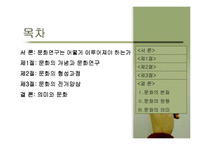 21세기 글로벌문화-2