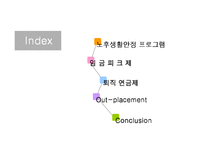 [인적자원관리] 노후생활안정 프로그램의 도입사례와 시사점-2
