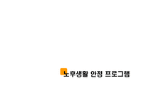 [인적자원관리] 노후생활안정 프로그램의 도입사례와 시사점-3