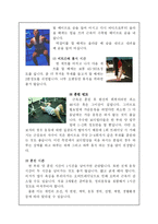 [현대생활과 체육] 무산소 운동-5