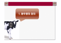 [농업경제학] 쇠고기 수입에 대한 문제점-3