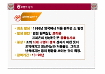 [농업경제학] 쇠고기 수입에 대한 문제점-4